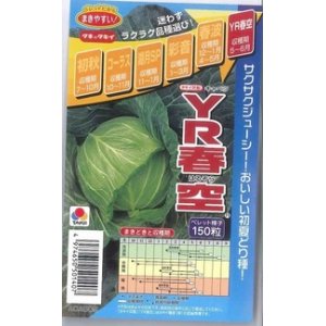 画像: [キャベツ]　YR春空　150粒 ペレット種子　タキイ種苗（株）