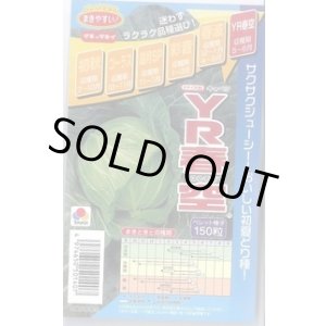 画像: 送料無料 [キャベツ] YR春空 150粒 ペレット種子 タキイ種苗(株)