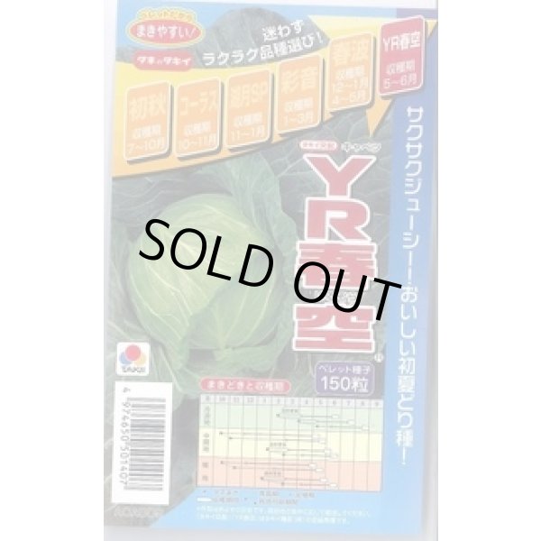画像1: 送料無料 [キャベツ] YR春空 150粒 ペレット種子 タキイ種苗(株) (1)