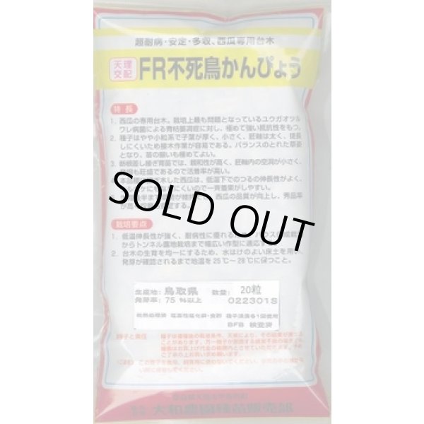 画像2: 送料無料　[台木/スイカ用]　ＦＲ不死鳥かんぴょう　2000粒　（株）大和農園 (2)