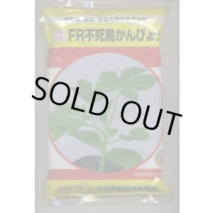 画像: 送料無料　[台木/スイカ用]　ＦＲ不死鳥かんぴょう　20粒　大和農園