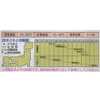 画像2: 送料無料　[春菊]　春菊　菊之助　22ml　タキイ種苗(株)　GF (2)
