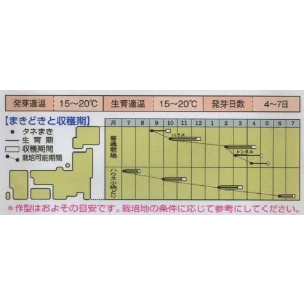 画像2: 送料無料　[春菊]　春菊　菊之助　22ml　タキイ種苗(株)　GF (2)