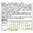 画像2: [キャベツ]　金系201号　2000粒　サカタ交配　 (2)