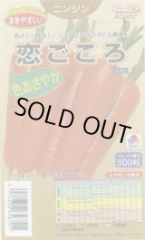 画像: 送料無料　[人参]　恋ごころ　ペレット500粒　タキイ種苗(株)