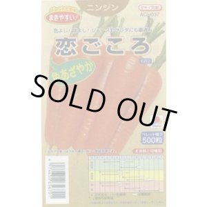 画像: 送料無料　[人参]　恋ごころ　ペレット500粒　タキイ種苗(株)