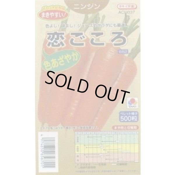 画像1: 送料無料　[人参]　恋ごころ　ペレット500粒　タキイ種苗(株) (1)