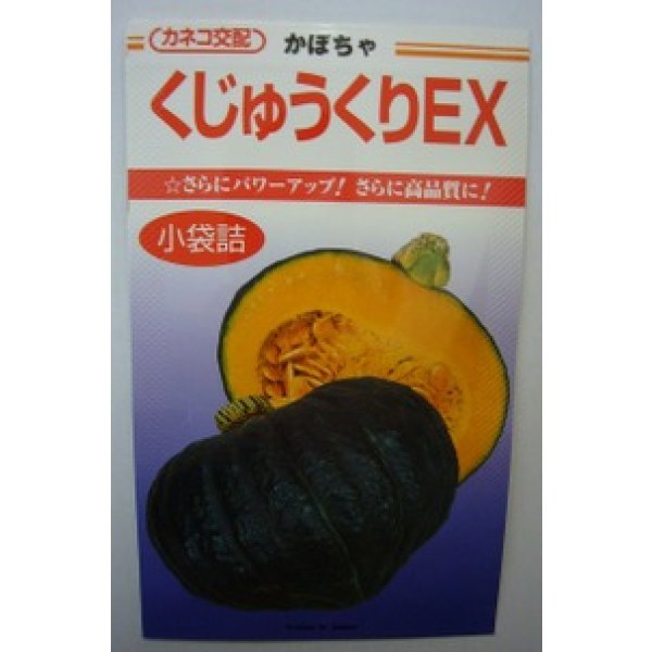 画像1: 送料無料　[かぼちゃ]　くじゅうくりEX南瓜　10粒　カネコ交配 (1)