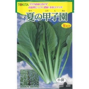 画像: [小松菜]　夏の甲子園　10ml　トキタ種苗（株）