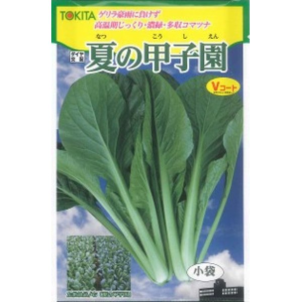 画像1: [小松菜]　夏の甲子園　10ml　トキタ種苗（株） (1)
