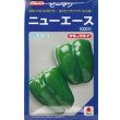 画像1: 送料無料　[ピーマン]　ニューエース　1000粒　タキイ種苗(株) (1)