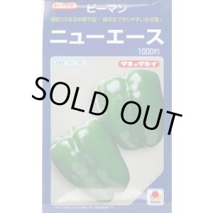 画像: 送料無料　[ピーマン]　ニューエース　1000粒　タキイ種苗(株)