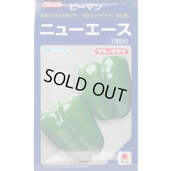 画像1: 送料無料　[ピーマン]　ニューエース　1000粒　タキイ種苗(株) (1)