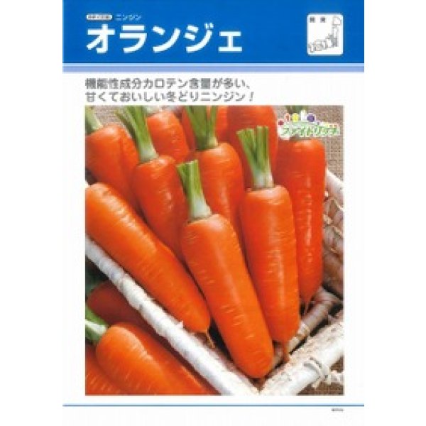 画像2: [人参] オランジェ ペレット種子1万粒 タキイ種苗(株) (2)