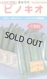 画像: 送料無料　[キュウリ]　ピノキオ　20粒　カネコ種苗（株）