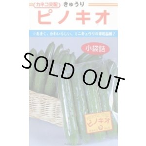 画像: 送料無料　[キュウリ]　ピノキオ　20粒　カネコ種苗（株）