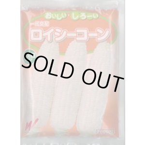 画像: 送料無料[とうもろこし]　ロイシーコーン　(株)　2000粒　渡辺農事（株）