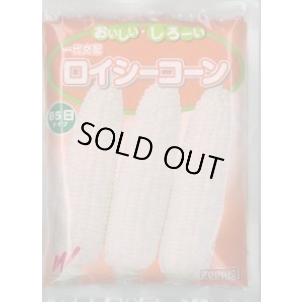 画像1: 送料無料[とうもろこし]　ロイシーコーン　(株)　2000粒　渡辺農事（株） (1)