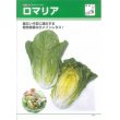 画像2: [レタス]　送料無料！　ロメインレタス　ロマリア　5000粒 ペレット種子　タキイ種苗（株） (2)