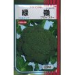 画像1: [ブロッコリー]　緑嶺　20ｍｌ　サカタ交配　 (1)