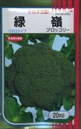 画像: 送料無料　[ブロッコリー]　緑嶺　20ml　(株)サカタのタネ