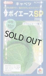 画像: [キャベツ] サボイエースSP 2000粒 タキイ種苗(株)