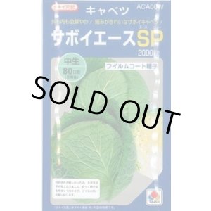 画像: 送料無料 [キャベツ] サボイエースSP 2000粒 タキイ種苗(株)
