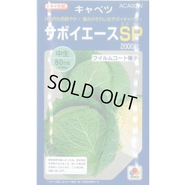 画像1: 送料無料 [キャベツ] サボイエースSP 2000粒 タキイ種苗(株) (1)