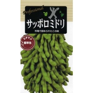 画像: 送料無料　[枝豆]　サッポロミドリ　70ml　(およそ130粒)雪印種苗(株)