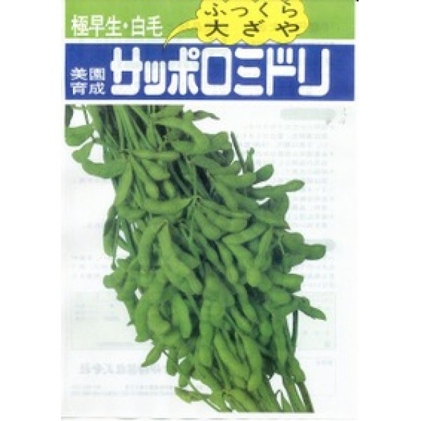 画像2: [枝豆]　サッポロミドリ　1L　雪印種苗（株） (2)