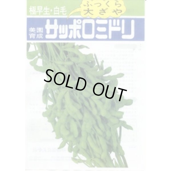 画像2: 送料無料　[枝豆]　サッポロミドリ　70ml　(およそ130粒)雪印種苗(株) (2)