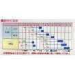 画像2: [カリフラワー]　スパイラル　1000粒　渡辺農事 (2)