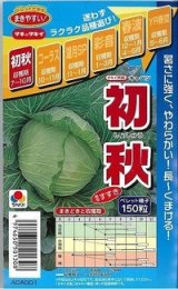 画像: 送料無料　[キャベツ]　初秋　150粒　ペレット種子　タキイ種苗(株)