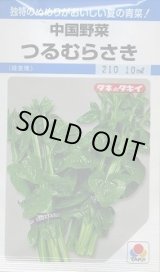 画像: 送料無料　つるむらさき　9ml　タキイ種苗　MF