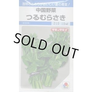 画像: 送料無料　つるむらさき　9ml　タキイ種苗　MF