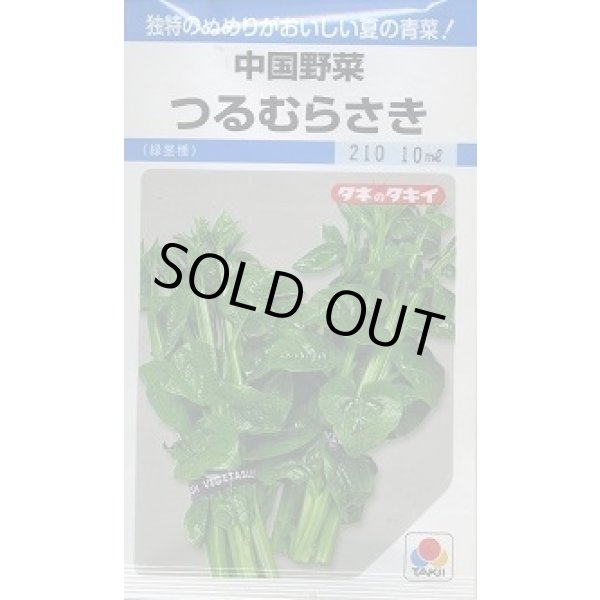 画像1: 送料無料　つるむらさき　9ml　タキイ種苗　MF (1)