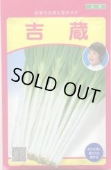 画像: 送料無料　[ねぎ]　吉蔵　20ml　武蔵野種苗園