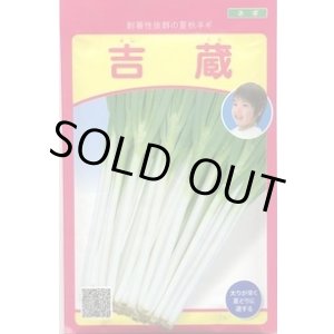 画像: 送料無料　[ねぎ]　吉蔵　20ml　武蔵野種苗園