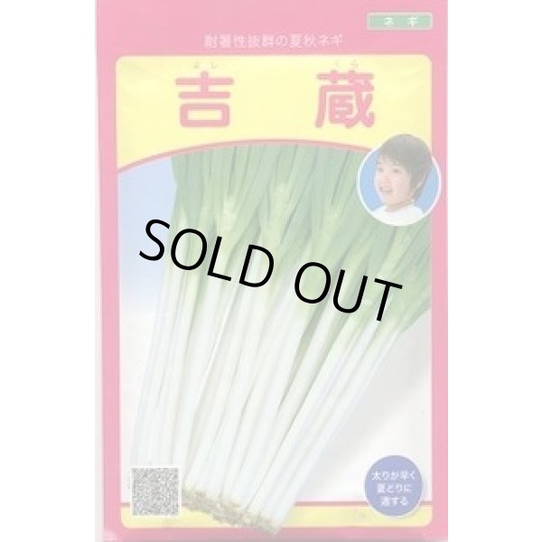 画像1: 送料無料　[ねぎ]　吉蔵　20ml　（株）武蔵野種苗園 (1)