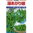 画像1: [枝豆]　湯あがり娘　約100粒　カネコ種苗（株） (1)