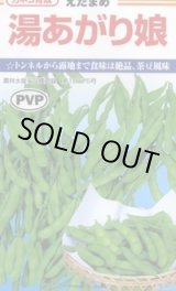 画像: 送料無料　[枝豆]　湯あがり娘　約100粒　カネコ種苗（株）(株)