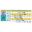 画像2: [枝豆]　ユキムスメ　1L　雪印種苗（株） (2)