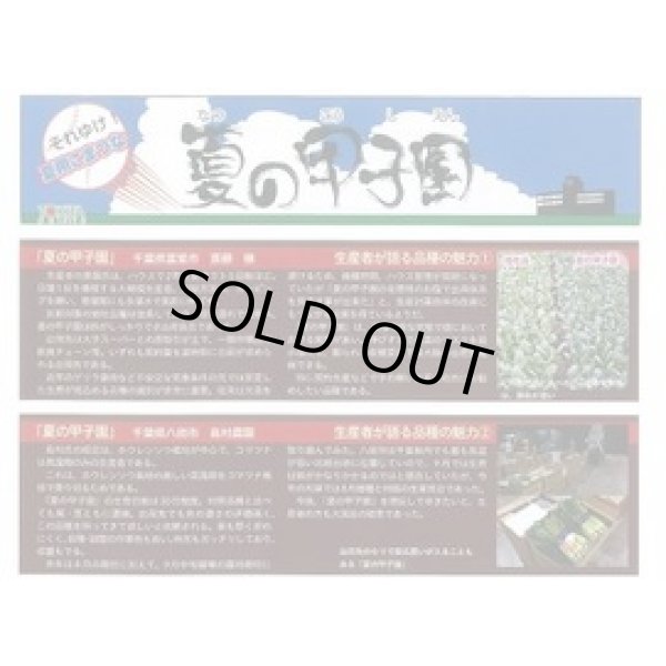 画像2: 送料無料　[小松菜]　夏の甲子園　2dl　トキタ種苗(株) (2)