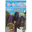 画像1: [なす]　カレーなインド　20粒　トキタ種苗（株） (1)