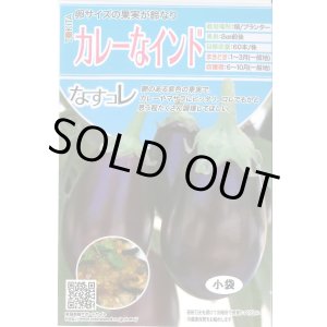 画像: 送料無料　[なす]　カレーなインド　20粒　トキタ種苗(株)