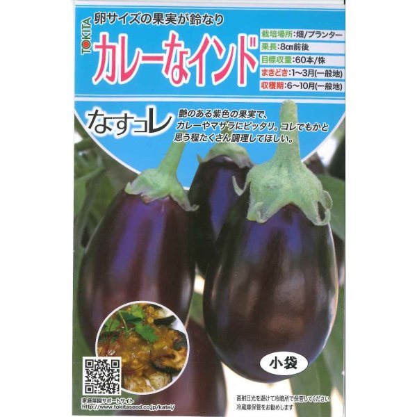 画像1: [なす]　カレーなインド　20粒　トキタ種苗（株） (1)