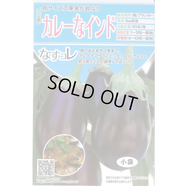 画像1: 送料無料　[なす]　カレーなインド　20粒　トキタ種苗(株) (1)