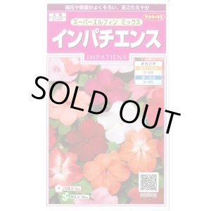 画像: 送料無料　花の種　インパチェンス　スーパーエルフィンミックス　約25粒　(株)サカタのタネ　実咲350　（026094）
