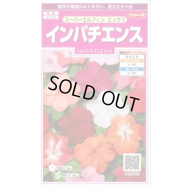 画像1: 送料無料　花の種　インパチェンス　スーパーエルフィンミックス　約25粒　(株)サカタのタネ　実咲350　（026094） (1)