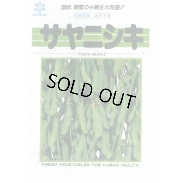 画像2: [枝豆]　サヤニシキ　1L　雪印種苗(株) (2)